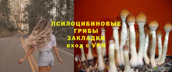 индика Алзамай