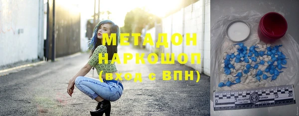 индика Алзамай