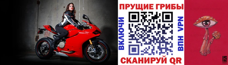 Галлюциногенные грибы Psilocybine cubensis  где купить наркоту  Пучеж 