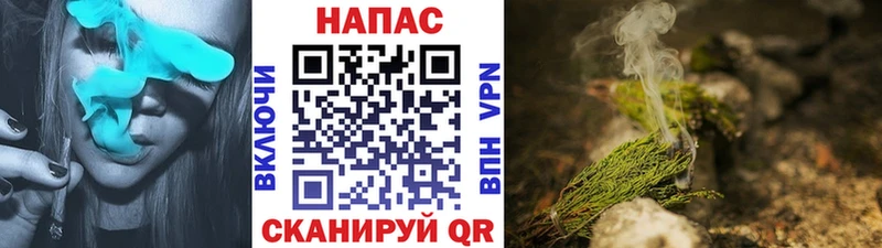 как найти   Пучеж  мега ссылка  Каннабис Amnesia 